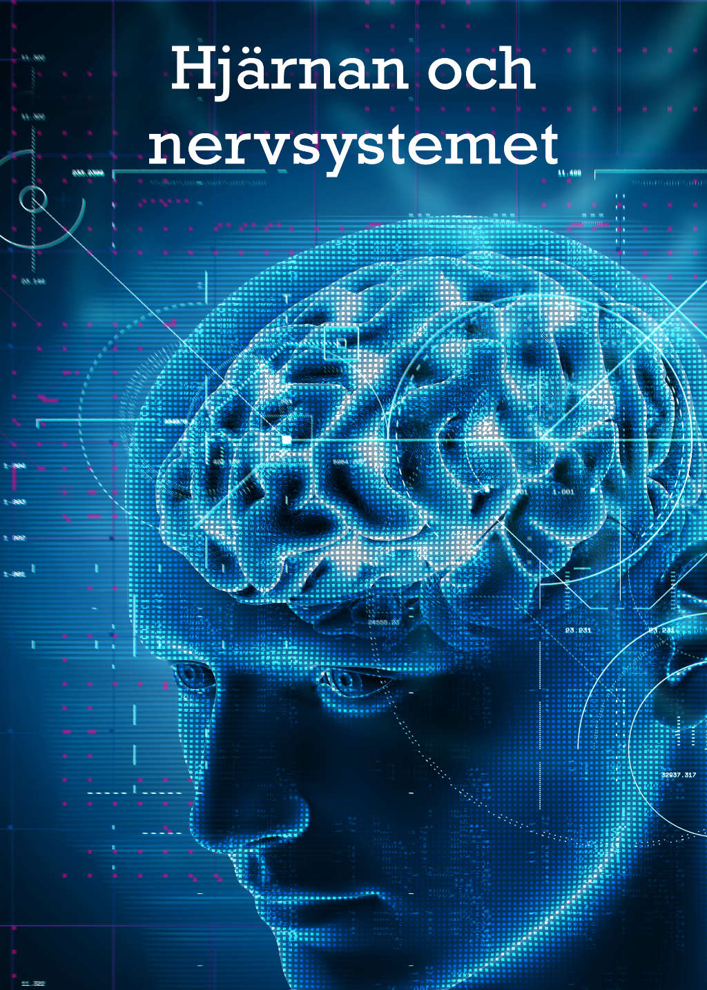 Menneskekroppen - hjernen og nervesystemet