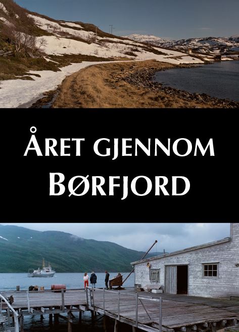 Året gjennom Børfjord